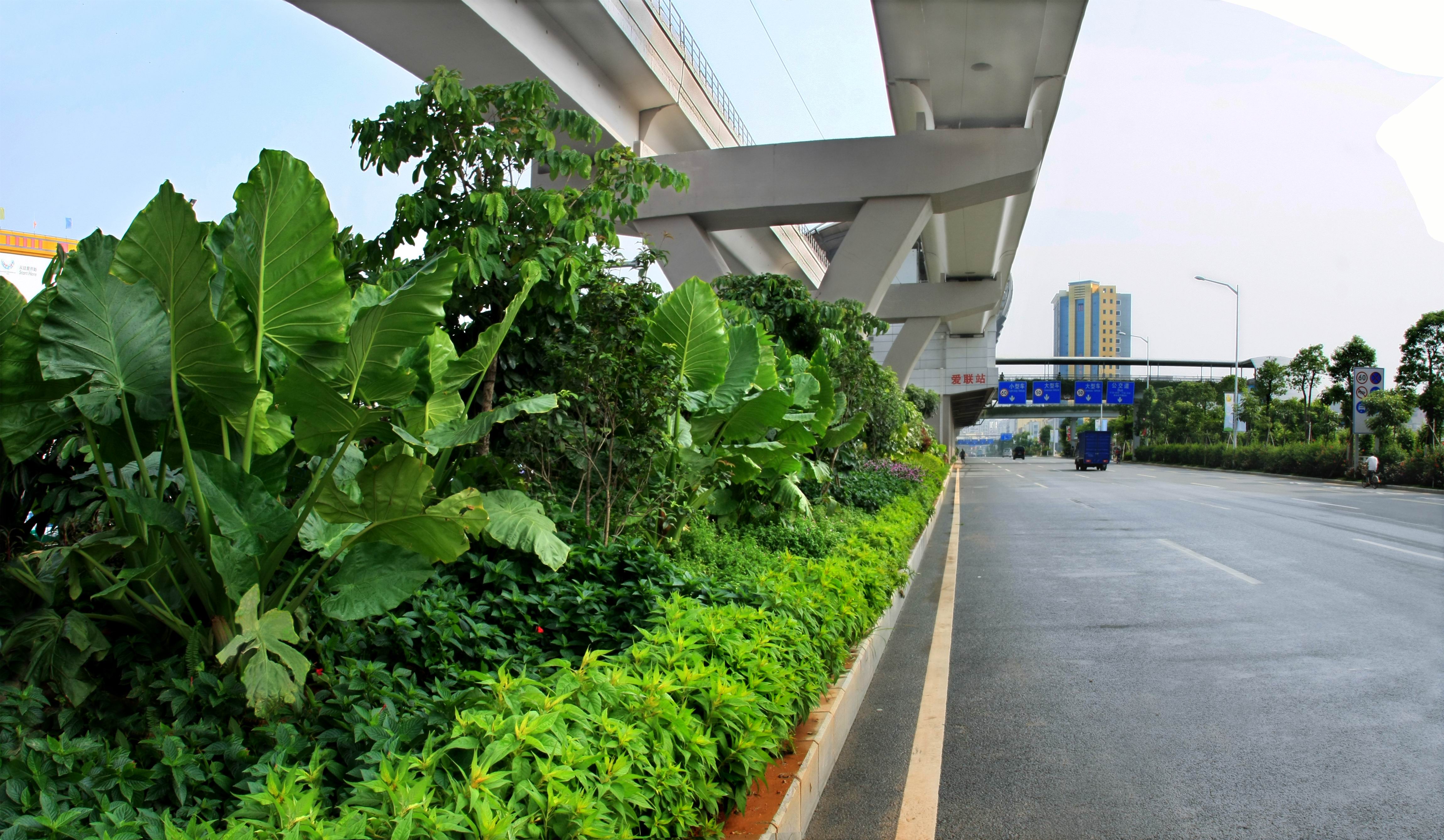 1594881788106002959.jpg 深惠路园林景观工程.jpg