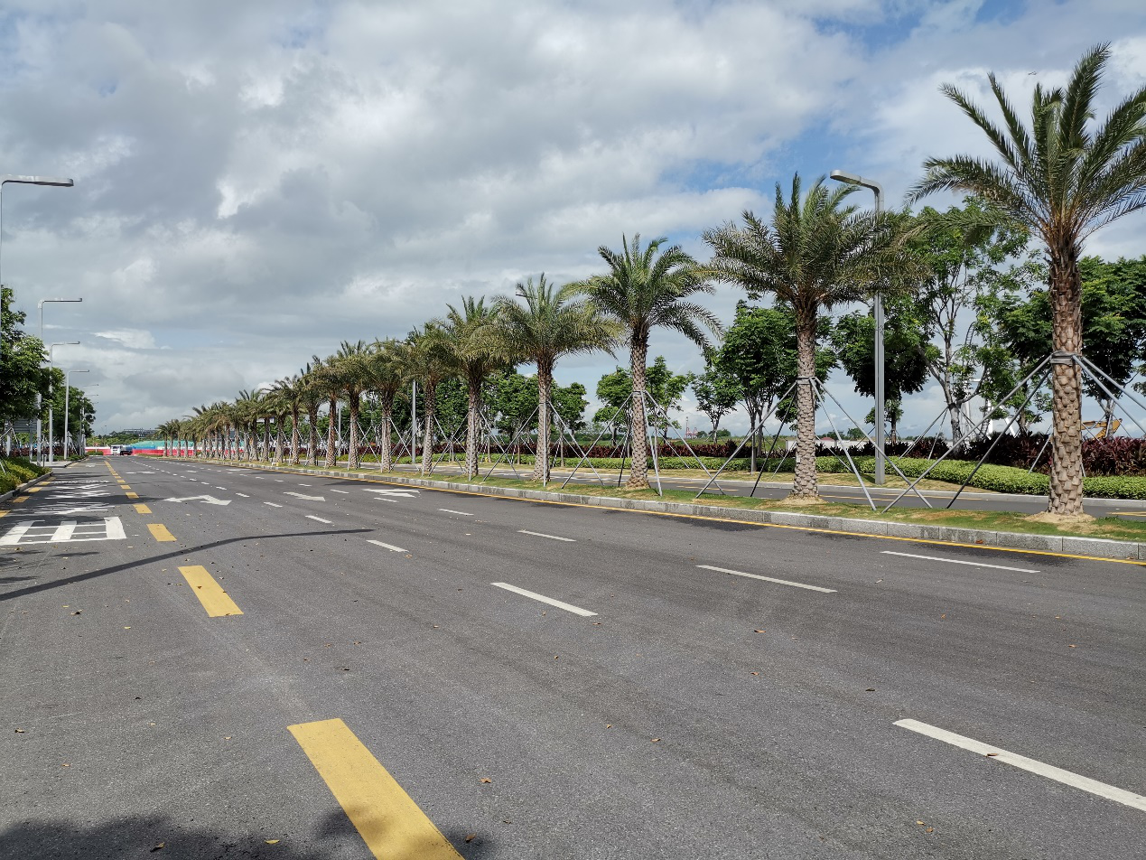 1604395648500004147.png 图片11.png