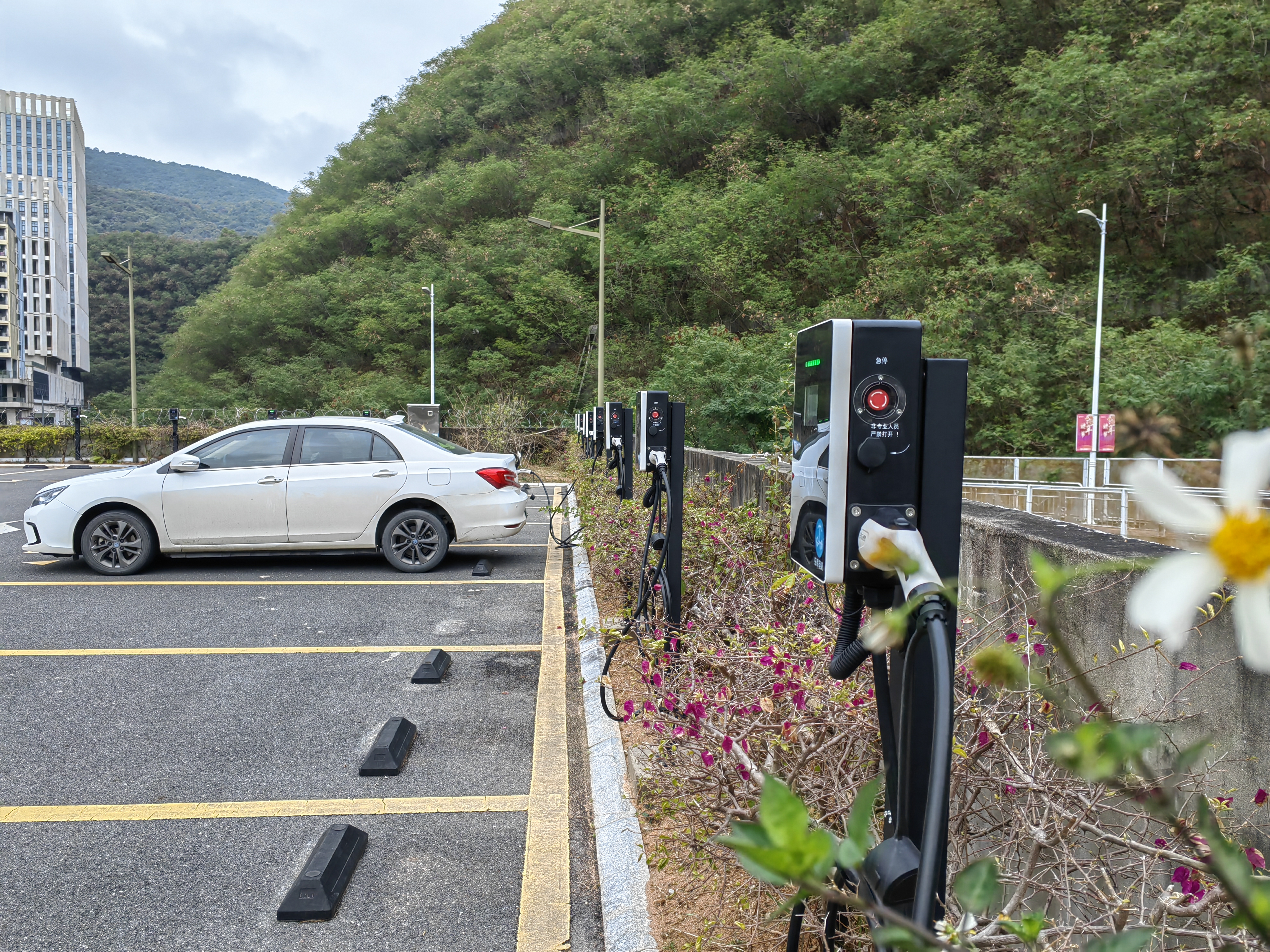 1676443810276098523.jpg 充电桩使用图.jpg