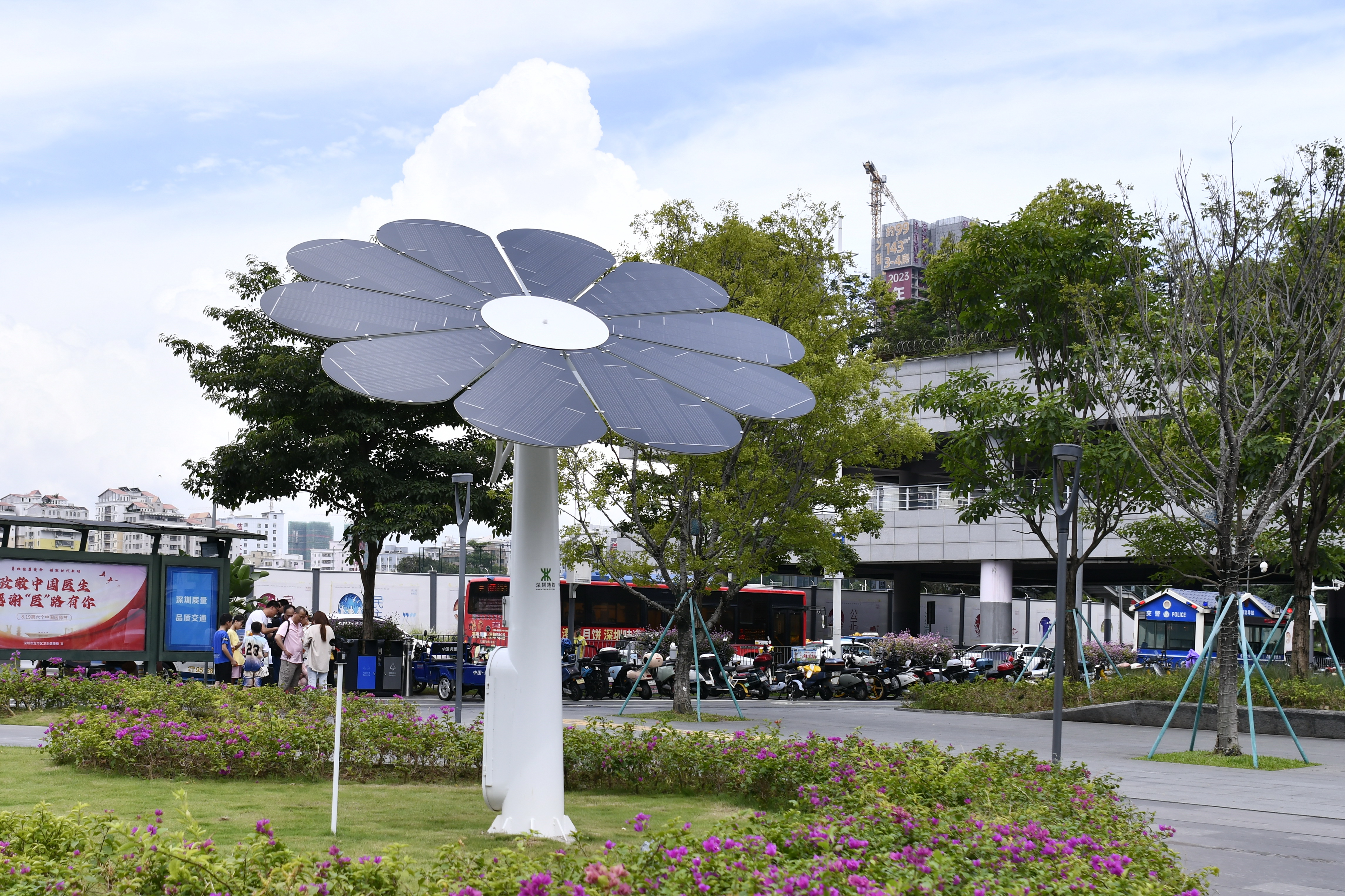 1709898118468013352.jpg 西广场太阳花.jpg