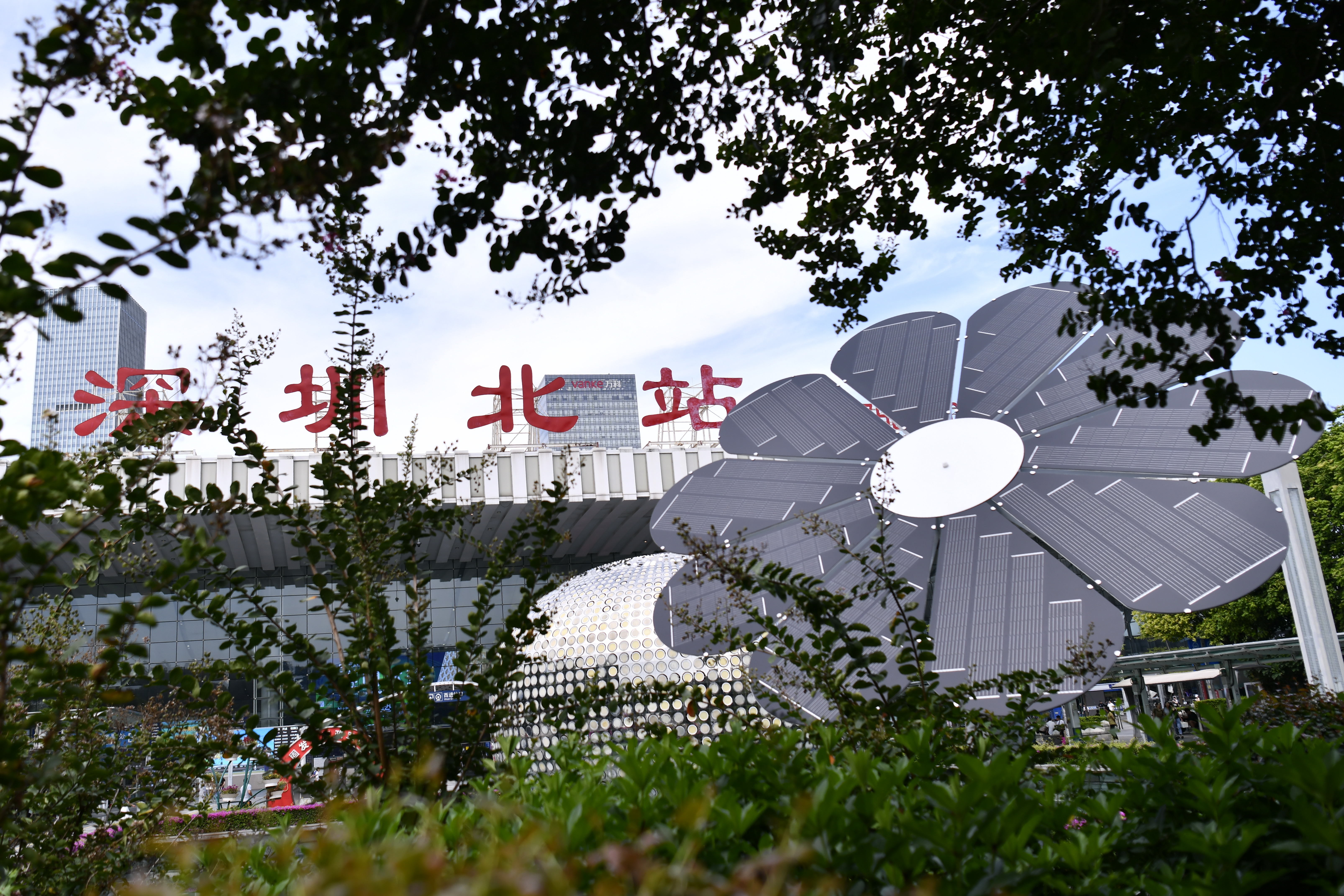 1723541207727089689.jpg 7170aeea65d71037656059daa8296b9.jpg