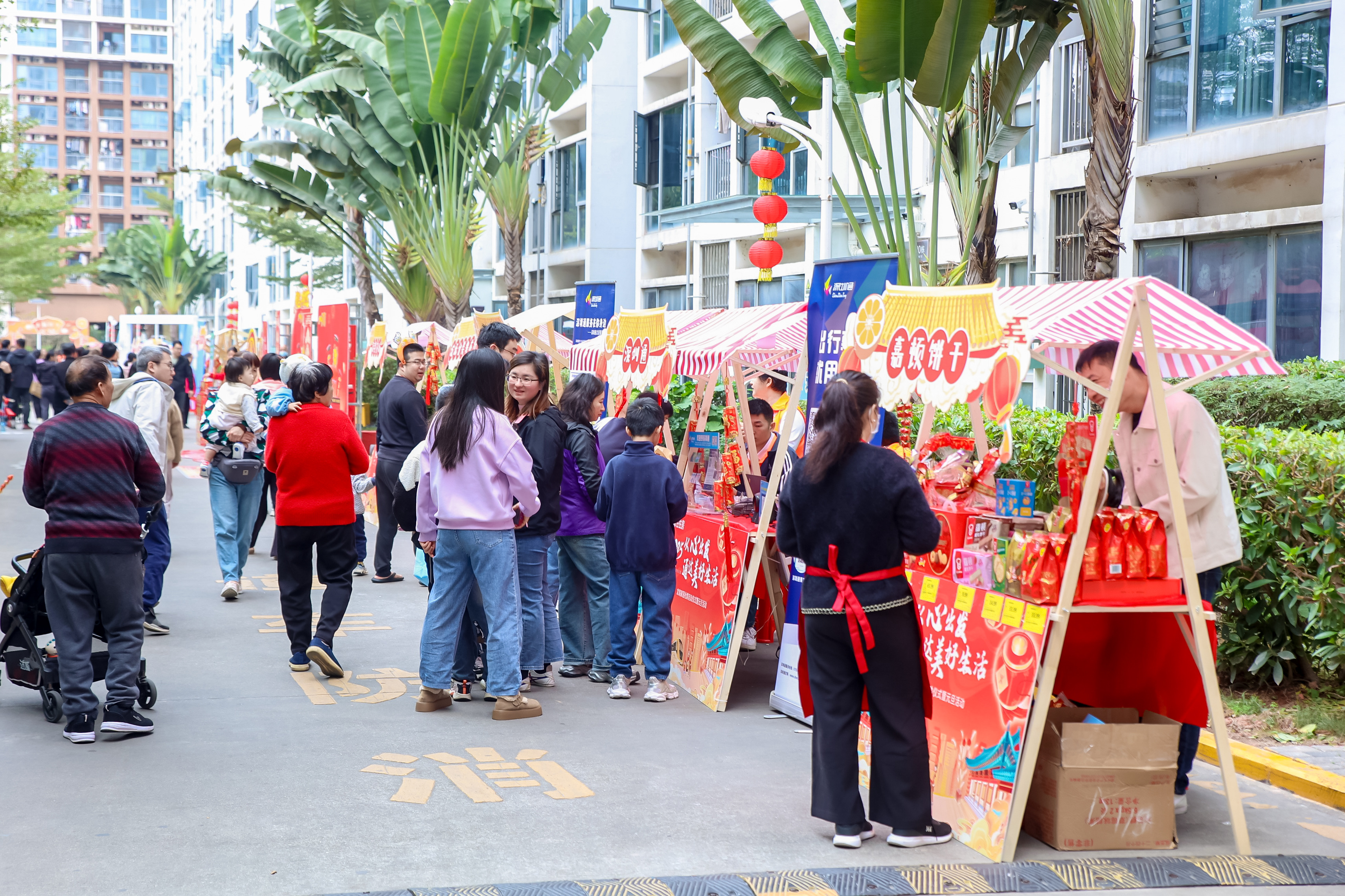 1736001496862037123.jpg 334d39269f83479990fa5c6237d8ff5.jpg