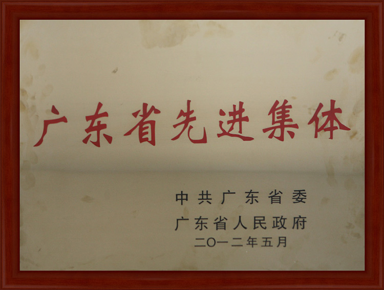 广东省先进集体